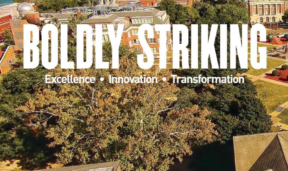 'Boldly Striking' Strategic Plan