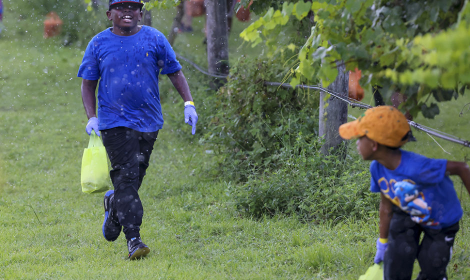 FAMU Grape Harvest Festival