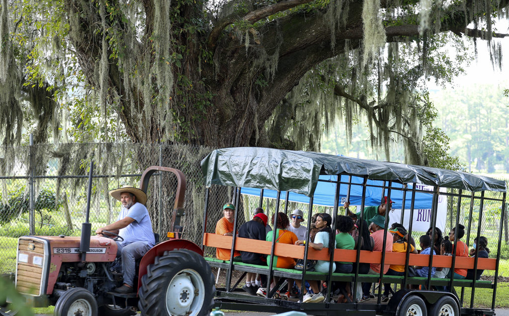 Grape Harvest Festival trailer ride