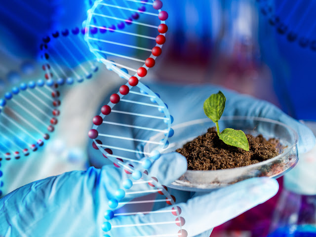 Plant Cells and glove holding a plant