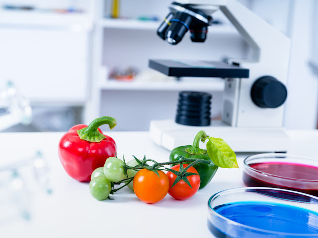 Microscope with fresh vegetables
