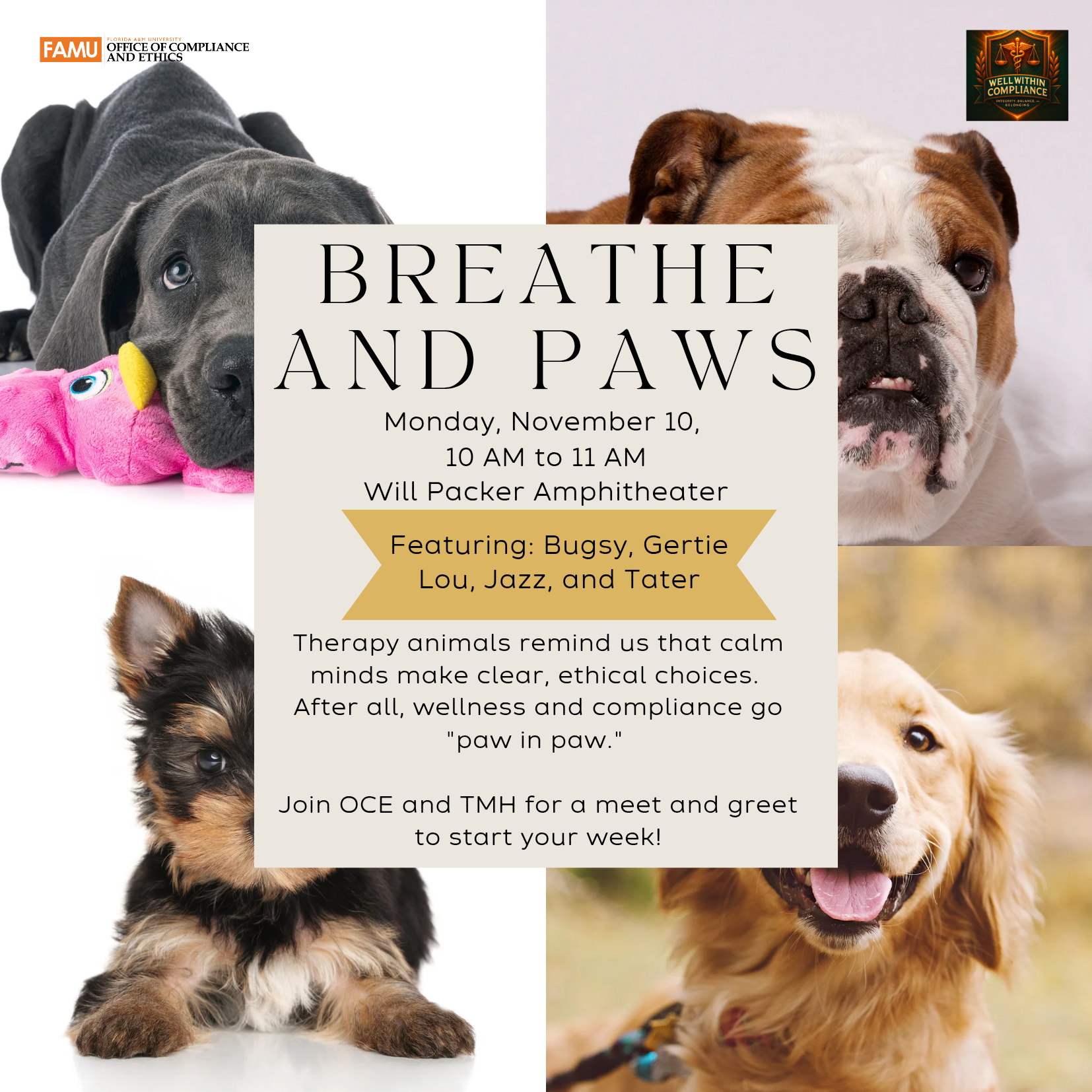 Breathe and paws exclusive flyer