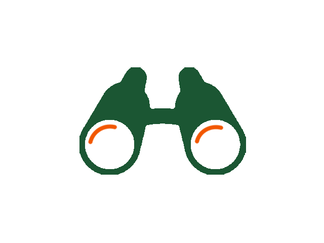 icon of a pair of binoculars, representing "vision"