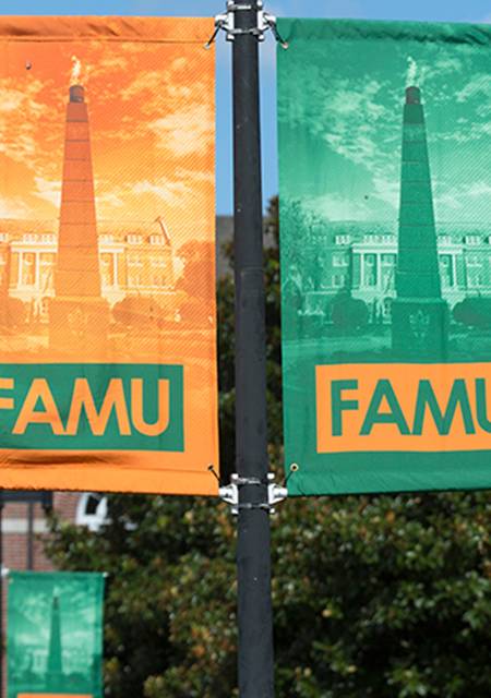 Famu Flags