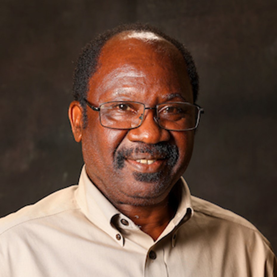 David Akinsanya